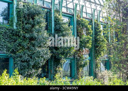 Tranquilla passeggiata urbana circondata da architettura moderna e verde Foto Stock