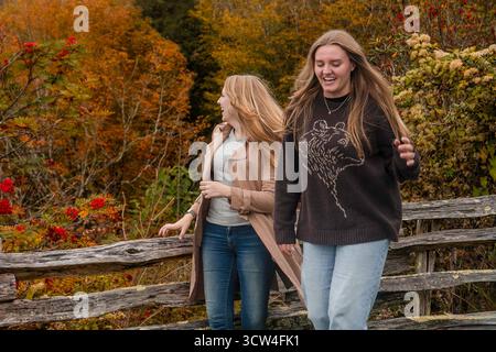 Due donne camminano tranquillamente attraverso una recinzione di legno nel bosco Foto Stock
