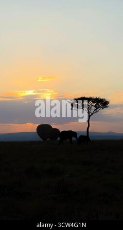 Elefanti africani e mongolfiere si stagliano contro una splendida alba sulla savana di Maasai Mara Foto Stock