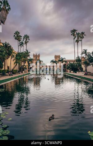 Un tranquillo laghetto circondato da palme nel Balboa Park, con anatre che scivolano sulla superficie sotto un cielo nuvoloso nel tardo pomeriggio. Foto Stock