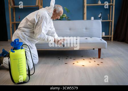 Appaltatore di disinfestanti che indossa tuta protettiva bianca con torcia elettrica mentre lavora in piano Foto Stock