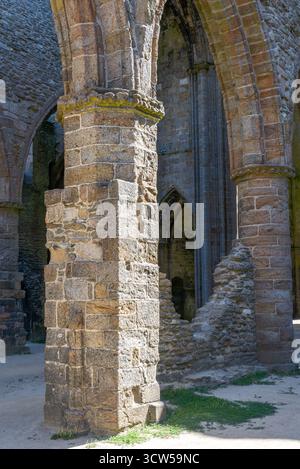 Abbazia di Saint-Mathieu de fine-Terre, in Bretagna, Francia. Gli interni in rovina gotica illuminati dal sole rivelano archi torreggianti e colonne in pietra intemprata. Foto Stock