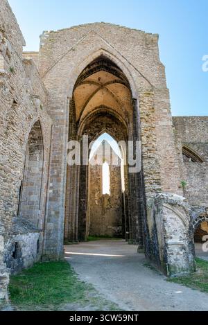 Abbazia di Saint-Mathieu de fine-Terre, in Bretagna, Francia. Gli interni in rovina gotica illuminati dal sole rivelano archi torreggianti e colonne in pietra intemprata. Foto Stock
