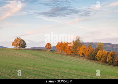 Paesaggio campestre autunnale, caratterizzato da alberi vibranti contro un cielo morbido al crepuscolo. Una scena tranquilla e pittoresca della bellezza della natura. Moravia regione ceca Foto Stock