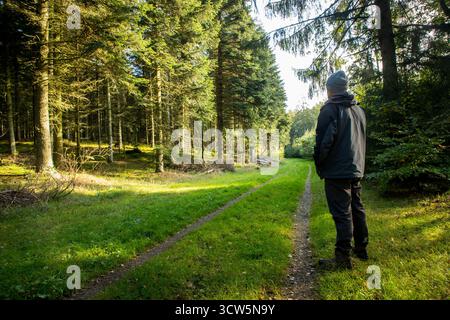 uomo in piedi in abiti invernali accanto a un sentiero forestale che guarda in fondo al sentiero pensando, uomo solitario nella foresta, uomo e natura in autunno Foto Stock