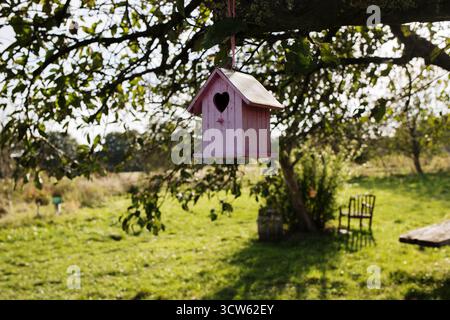 Casa per uccelli rosa appesa a un albero in un giardino soleggiato Foto Stock