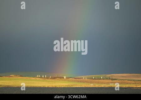 Arcobaleno sopra Ring of Brodgar Standing Stones, Isole Orcadi, Scozia Foto Stock