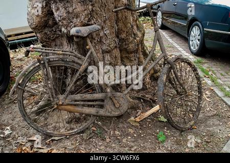 Amsterdam, Paesi Bassi - 19 agosto 2018 - bicicletta coperta di fango appoggiata contro un albero sulla strada della città. Foto Stock