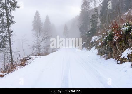 Strada di montagna vuota coperta di neve con tracce di pneumatici visibili in una giornata invernale nebbiosa Foto Stock