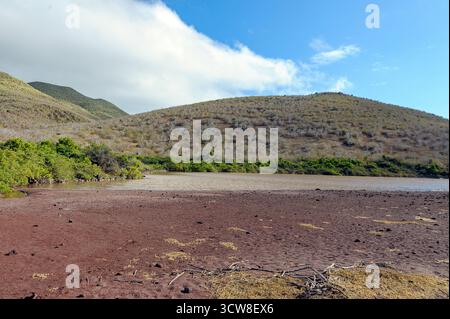 Paesaggio e costa vulcanica all'isola di Rabida, Galapagos (Ecuador). Foto Stock