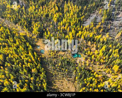 Scendendo dritto dall'alto di piccoli e luminosi laghi turchesi di geyser nascosti in una fitta foresta mista con un intenso fogliame giallo autunnale Foto Stock