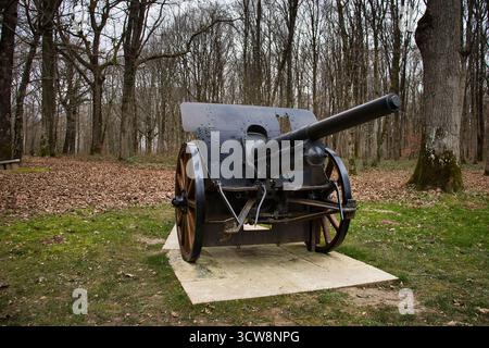 Belleau Wood, Francia - 20 febbraio 2022: Fronte di cannone a Belleau Wood in una nuvolosa giornata invernale in Francia. Foto Stock