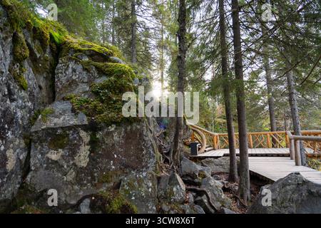 Una vista ad angolo basso di una grande e ripida parete rocciosa coperta da vibrante muschio verde, situata in una fitta pineta con una passerella in legno nelle vicinanze Foto Stock