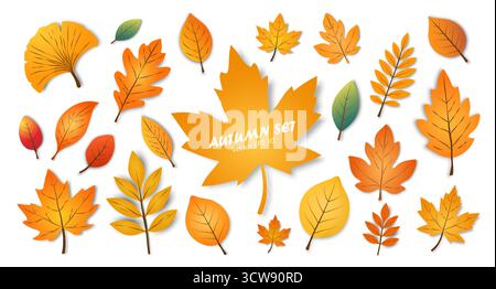 Set autunnale di foglie di forme e colori diversi su sfondo bianco. Una collezione di foglie autunnali colorate di alberi diversi. Illustrazione Vettoriale