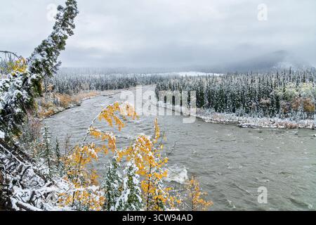 Nord America; Stati Uniti; Alaska Range Mountains; Denali National Park; Nenana River, prima neve Foto Stock