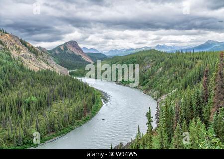 Nord America; Stati Uniti; Alaska Range Mountains; Denali National Park; Nenana River; Taiga; estate Foto Stock