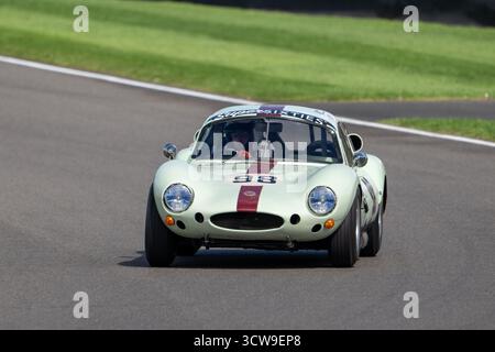 La gara del Fordwater Trophy con auto sportive classiche degli anni '1960 in azione al Goodwood Revival 2025, Goodwood Motor Circuit, Chichester, West Sussex, Foto Stock