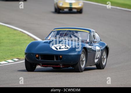 La gara del Fordwater Trophy con auto sportive classiche degli anni '1960 in azione al Goodwood Revival 2025, Goodwood Motor Circuit, Chichester, West Sussex, Foto Stock
