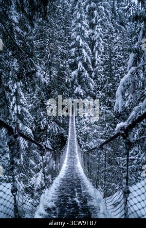 Un lungo ponte sospeso si estende attraverso una foresta innevata. Alti alberi sempreverdi sono ricoperti di bianco, creando una serena scena invernale nella natura selvaggia Foto Stock