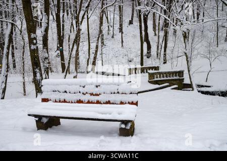 Panchina coperta di neve in inverno. Giornata invernale nel parco Foto Stock