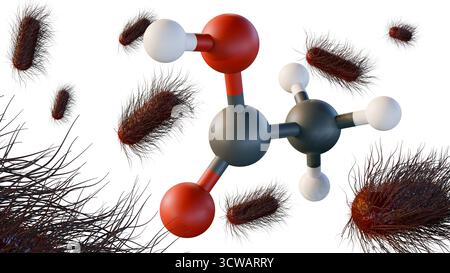 Immagine 3D del batterio Acetobacter con numerose flagelle, circondato da molecole di acido acetico. ruolo del batterio nella produzione di acido acetico. Foto Stock