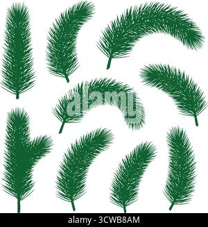 Raccolta di rami di abete verde, ideale per elementi di foresta di conifere. Varie parti naturali di piante sempreverdi, set vettoriale di fogliame invernale. Illustrazione Vettoriale