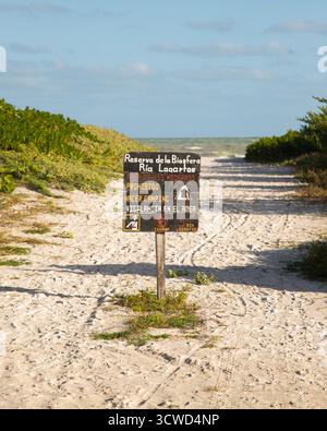 Spiaggia del Golfo del Messico a El Cuyo, un villaggio di pescatori sulla penisola dello Yucatan in Messico. Foto Stock