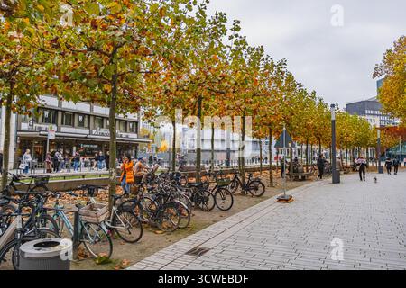 Vicolo pedonale con alberi, panchine e biciclette parcheggiate in autunno. Parte centrale di Dusseldorf Foto Stock