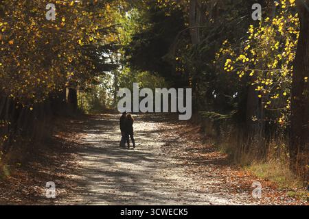 Coppia romantica che cammina mano nella mano attraverso un sentiero panoramico nella foresta ricoperto di vibranti foglie autunnali. Foto Stock