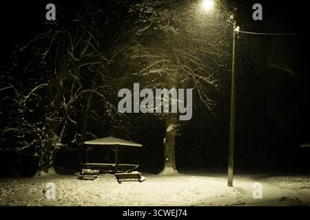 Tranquillo parco innevato illuminato da un lampione verde di notte. Gazebo, panchine e alberi innevati evocano un tranquillo umore invernale. Foto Stock