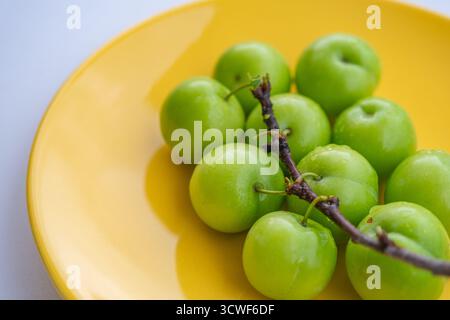 Prugne verdi mature fresche su piastra gialla con ramificazione su fondo bianco isolato Foto Stock