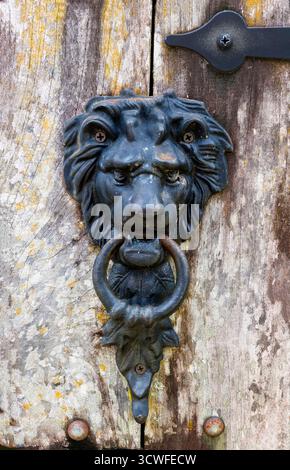 Foto ravvicinata di un battitore d'epoca della porta della testa di leone montato su una porta di legno intemprata. Il battitore di metallo scuro presenta dettagli intricati del leone Foto Stock