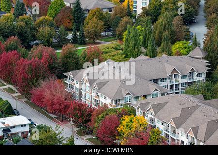 A Vancouver in autunno, le strade si animano con tonalità vivaci. Alberi vestiti di rosso e oro circondano case accoglienti, creando una scena pittoresca Foto Stock