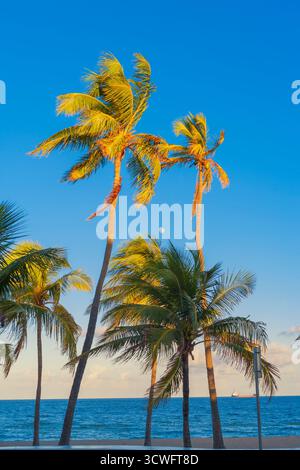 Fort Lauderdale Beach, Fort Lauderdale, Broward County, Florida, Stati Uniti Foto Stock