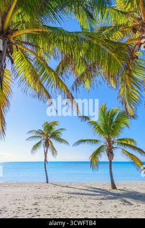 Smathers Beach, Key West, Florida, USA Foto Stock