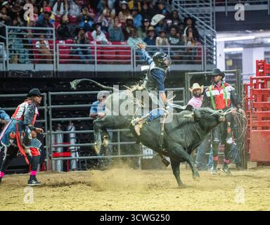 Philadelphia, Pennsylvania, Stati Uniti. 11 ottobre 2025. Un concorrente di Bull riding in azione durante l'8 Seconds Rodeo-Philadelphia che si è tenuto al Liacouras Center della Temple University di Philadelphia PA (Credit Image: © Ricky Fitchett/ZUMA Press Wire) SOLO PER USO EDITORIALE! Non per USO commerciale! Foto Stock
