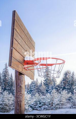 Un canestro da basket si trova in una radura innevata, adornata di gelo. Lo sfondo presenta una splendida foresta di conifere, che crea un ambiente tranquillo Foto Stock