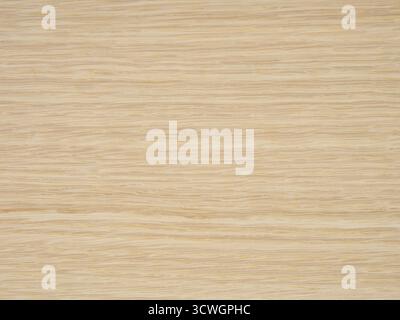Inserti in quercia sbiancata con una trama pulita e orizzontale Foto Stock