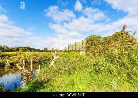Paesaggio autunnale nella valle del fiume Warnow vicino a Gross Goernow, Germania. Foto Stock