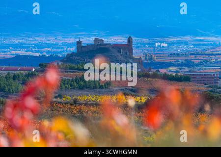 Paesaggio autunnale di vigneti a la Rioja, vicino alla Sierra de Cantabria. Alava e la Rioja, Spagna. Europa Foto Stock