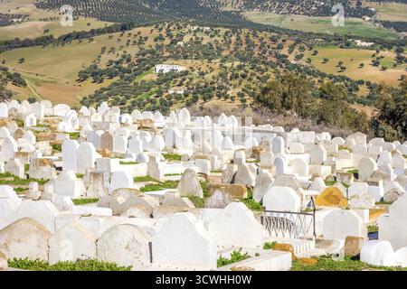 Cimitero musulmano sulla collina al di fuori di Fez, Marocco Foto Stock