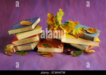libri multicolori e foglie autunnali. Ispirazione, lettura, istruzione, lettura, lettura delle vacanze autunnali, fiera del libro e concetto di letteratura. Spazio libero per le copie. Foto Stock
