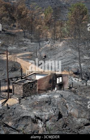 Un sito rurale mostra gravi danni dopo gli incendi, con un paesaggio carbonizzato e una struttura in pietra parzialmente in piedi tra terra e alberi anneriti. Foto Stock