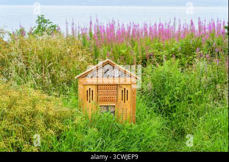Un grande hotel di insetti accanto al Firth of Clyde sul sentiero costiero di Inverclyde tra Inverkip e Lunderston Bay, Renfrewshire, Scozia, Regno Unito Foto Stock