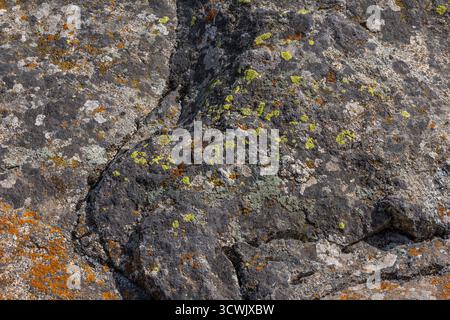 Primo piano di rocce testurizzate ricoperte di vari tipi di licheni: Sfondo full-frame con messa a fuoco nitida Foto Stock
