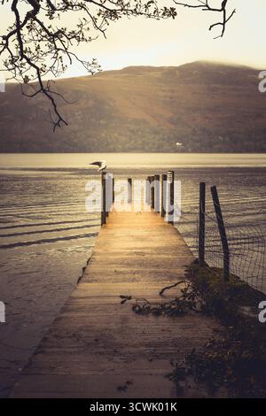 Un gabbiano solitario poggia su un molo, con ali distese, godendosi la calma vista del lago. Foto Stock