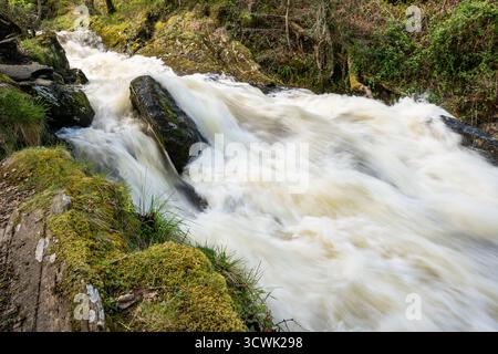 Ruscelli che scorrono velocemente su rocce ricoperte di muschio in un ambiente boschivo Foto Stock