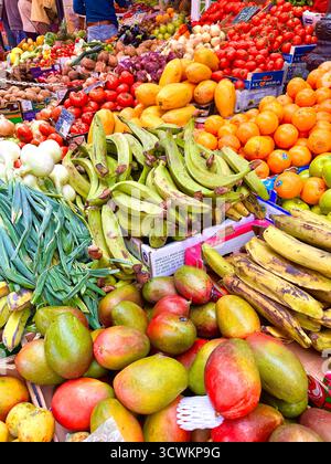 Vivace esposizione di frutta e verdura assortite presso una banchina del mercato, tra cui banane, mango, arance e pomodori delle Canarie di Tenerife Foto Stock