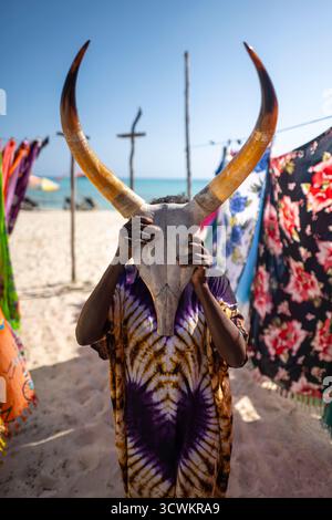 Una donna malgascia tiene un teschio zebu davanti al viso, come se lo indossasse come una maschera. In Madagascar, lo zebu - un bestiame humped - è un animale sacro Foto Stock