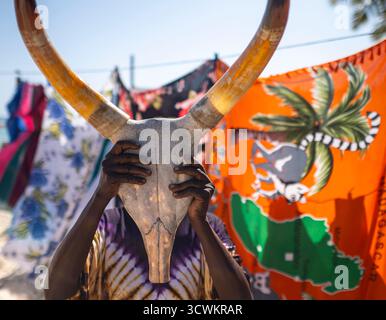 Una donna malgascia tiene un teschio zebu davanti al viso, come se lo indossasse come una maschera. In Madagascar, lo zebu - un bestiame humped - è un animale sacro Foto Stock